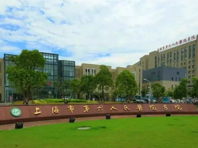 上海六院可以开展试管婴儿
