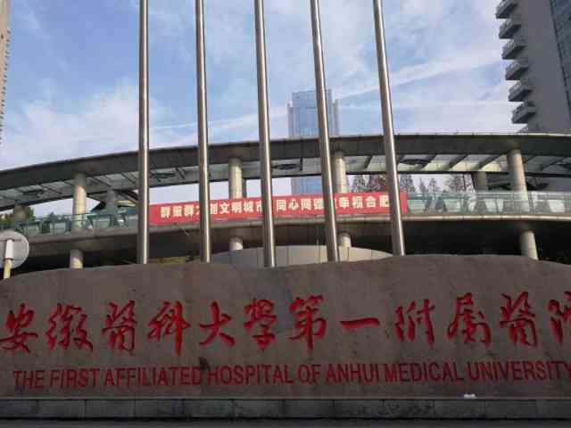 安徽试管婴儿医院排名