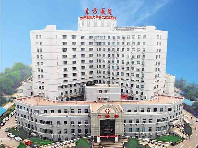 北京东方医院试管婴儿费用多少
