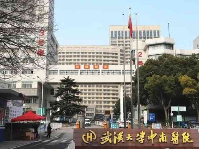 武汉中南医院试管婴儿收费多少