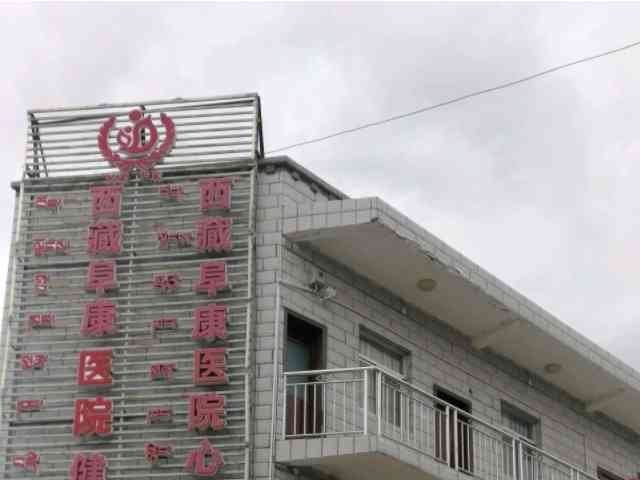 西藏试管婴儿医院排名