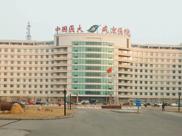 盛京医院是医大一院还是二院？