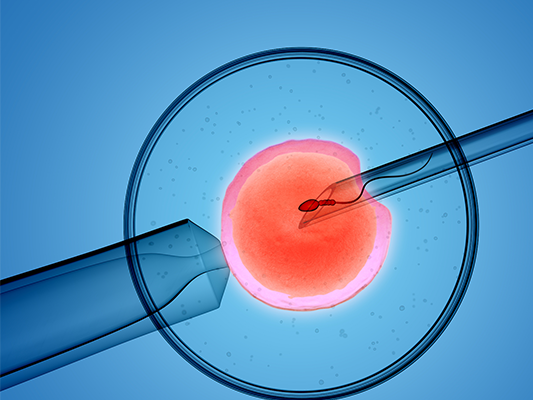 一代试管植入几个胚胎？