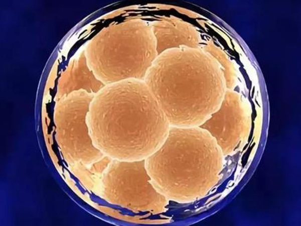 三代试管囊胚检测要多久？