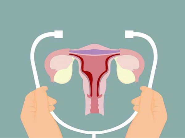 调经促孕丸软化输卵管？