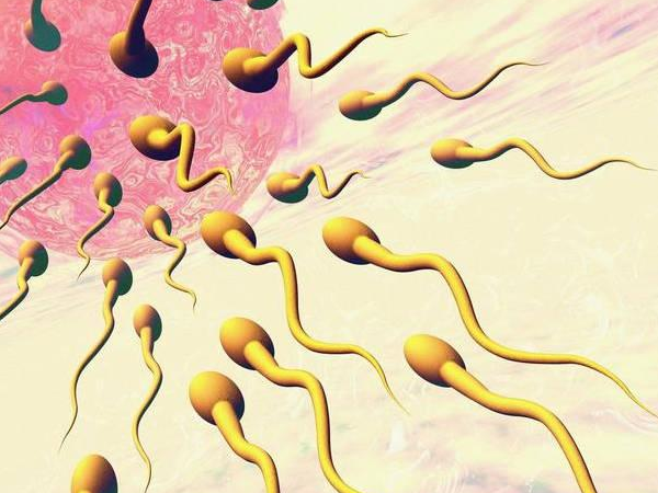 精子变黄什么原因引起的？