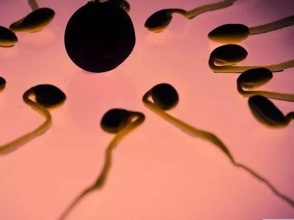 男性染色体异常能要孩子吗？