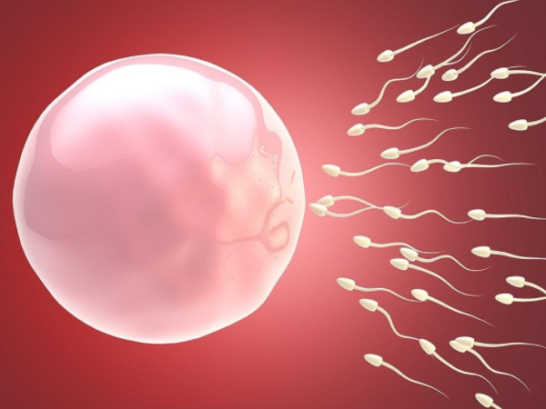 试管精子卵子配对几率是多少？