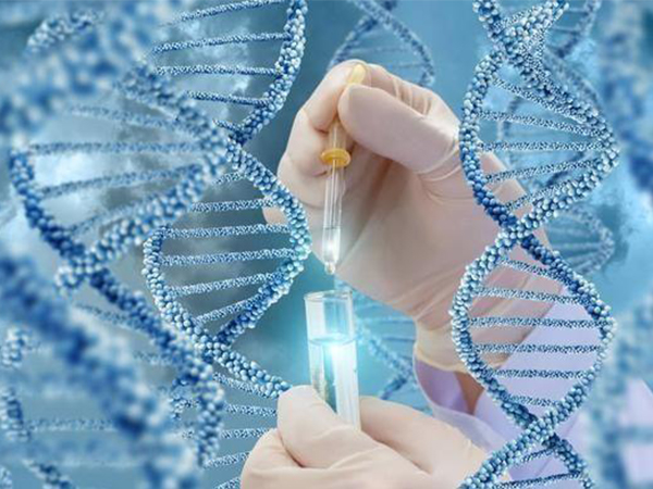 泰国三代试管成功率有多高 "醉折花枝当酒筹"-第2张图片-图宝网