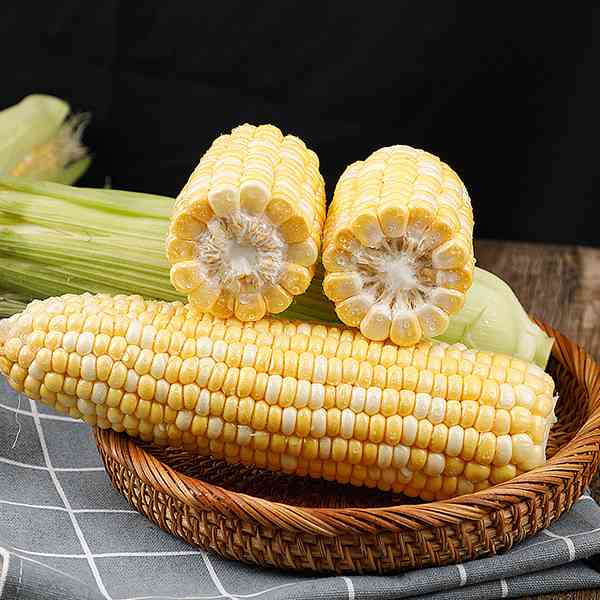 玉米与什么食物相克