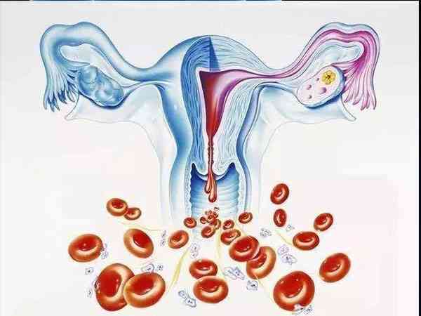 始基子宫卵巢会正常排卵吗？