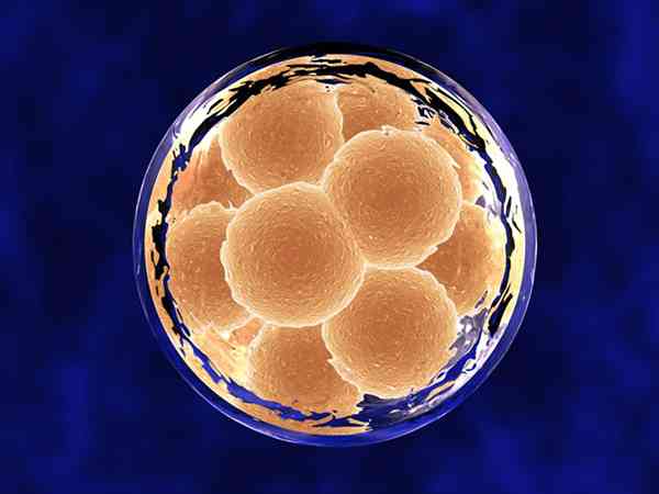 胚胎评分6、7、8分别代表什么？