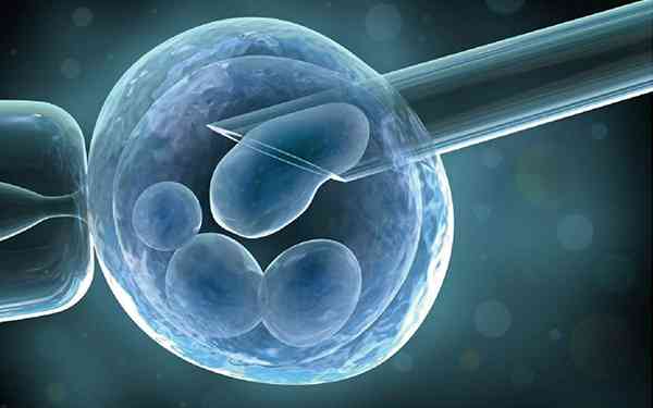 5bb和4bb的囊胚质量哪个好？