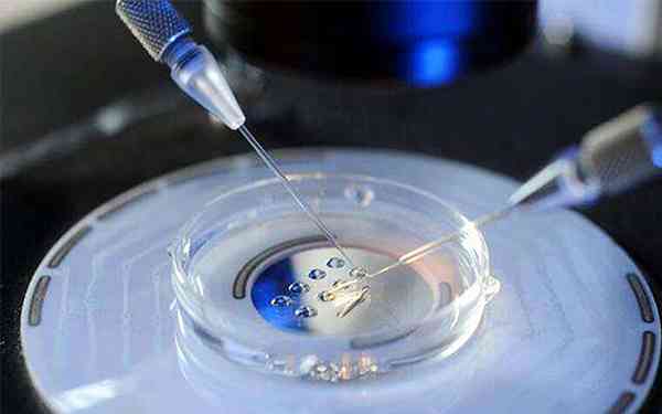 能分享下移植囊胚成功经验吗？