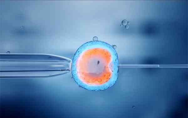 取卵后移植鲜胚的条件是什么？