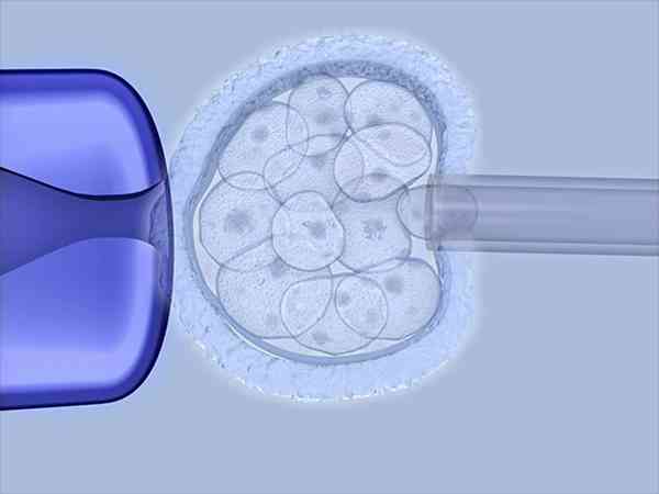 第六天4bb囊胚着床率是多少？