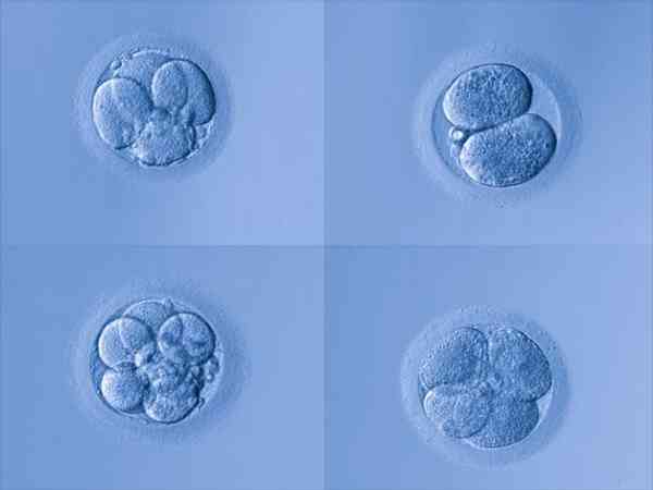 囊胚4cb是什么级别？
