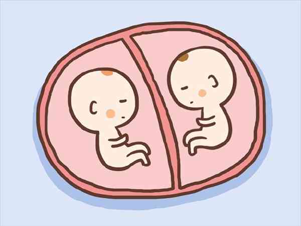 同卵双胞胎的危害是什么？