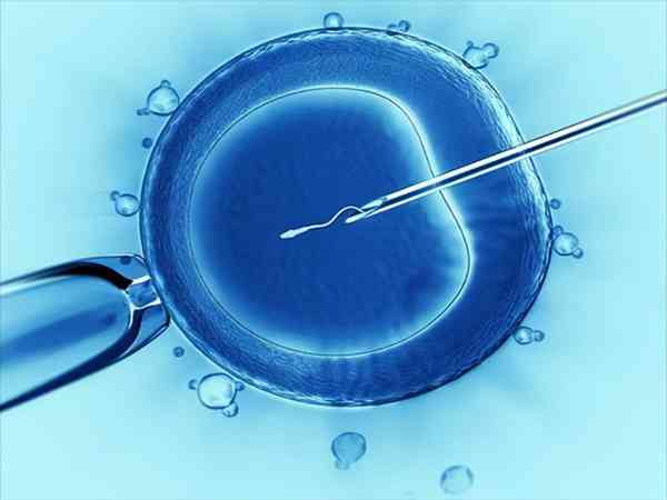 鲜胚移植后成功的征兆有哪些？