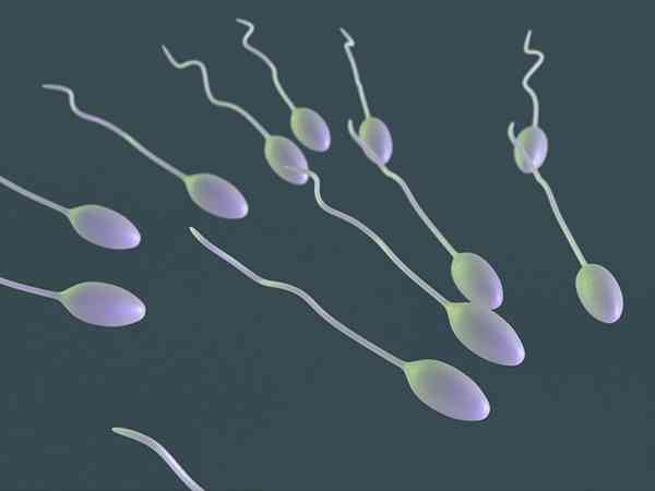 7天的精子和3天的精子质量哪个好？