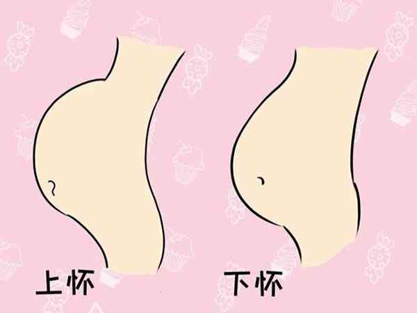 上怀和下怀的肚型图是什么样的？