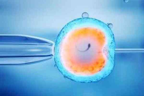 5BA囊胚多少人移植成功了？