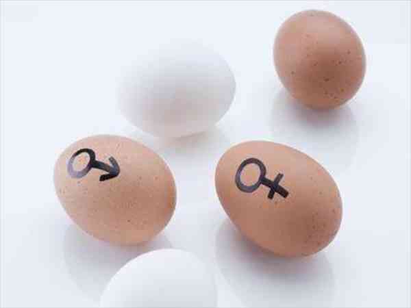 鸡蛋测男女的正确方法是什么？