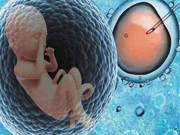 一级胚胎很难得吗？