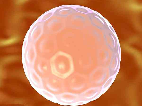 3bb和3bc的囊胚哪个好？
