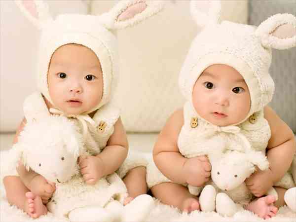 单绒双胎哪个性别偏多？