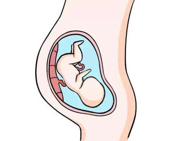 胎盘前壁特别容易摸到宝宝吗？