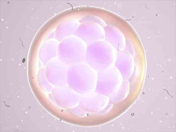 胚胎不着床多久才会死？
