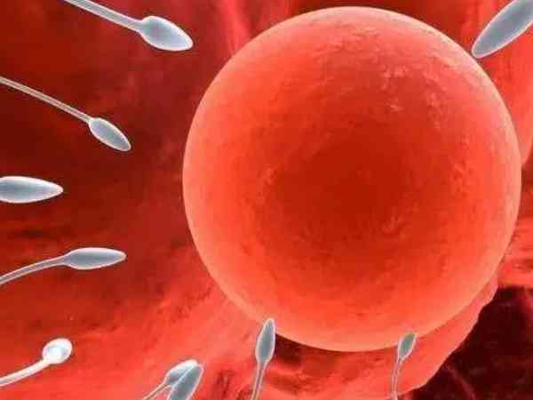 精子总数多少算正常？