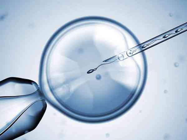 胚胎三级是精子差吗？
