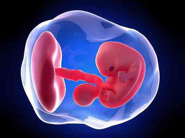 胚胎级别决定宝宝智商吗？