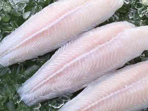 巴沙鱼是世界上最脏的鱼吗？