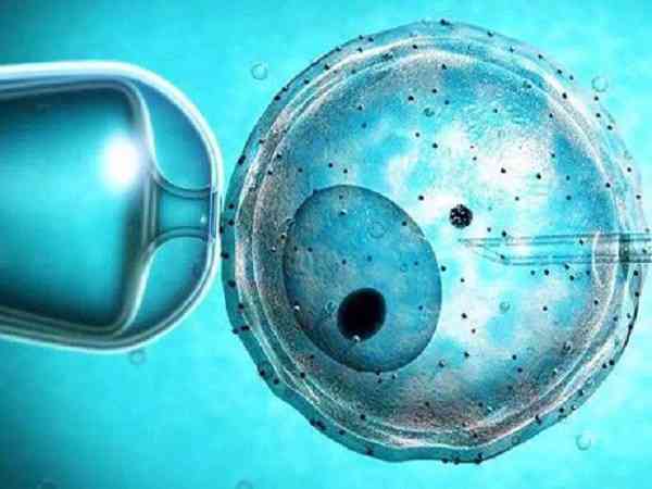 鲜胚二级4细胞吗？