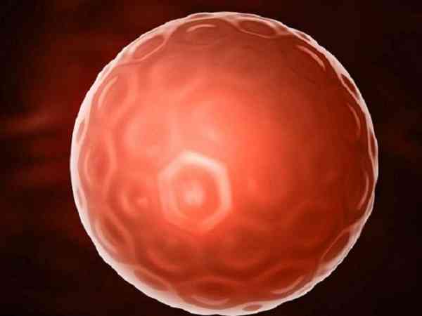 囊胚着床成功最准的信号是什么？