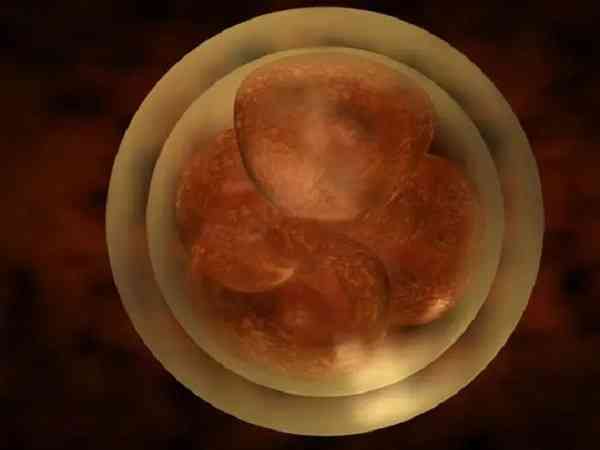 移植囊胚19天出轻微鲜血原因,是什么