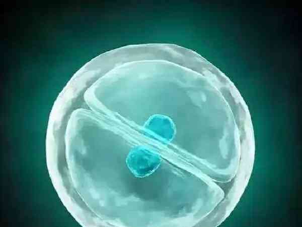 囊胚4ac是什么级别的胚胎？