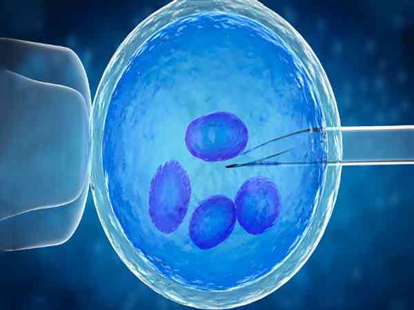 11个卵泡配了2个胚胎正常吗？