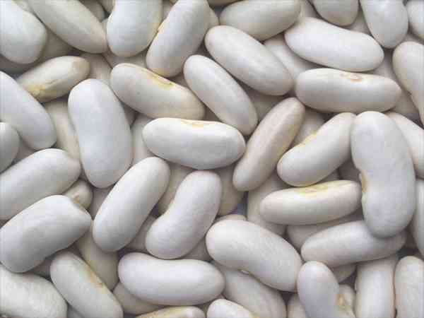 白芸豆对女性的危害有哪些？