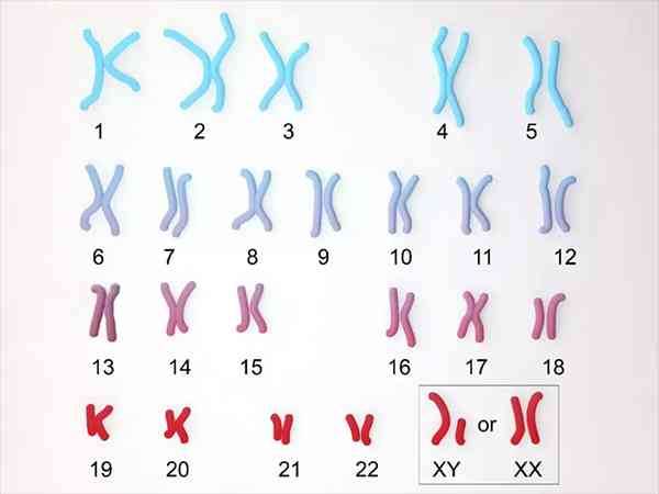 三代试管染色体异常的概率大吗？