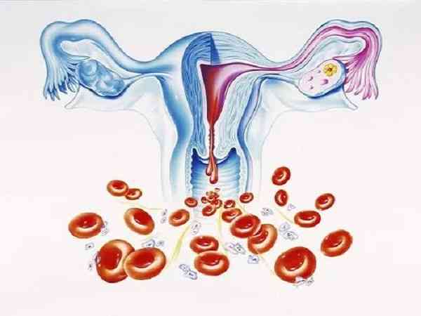 试管移植子宫内膜什么形态最好？