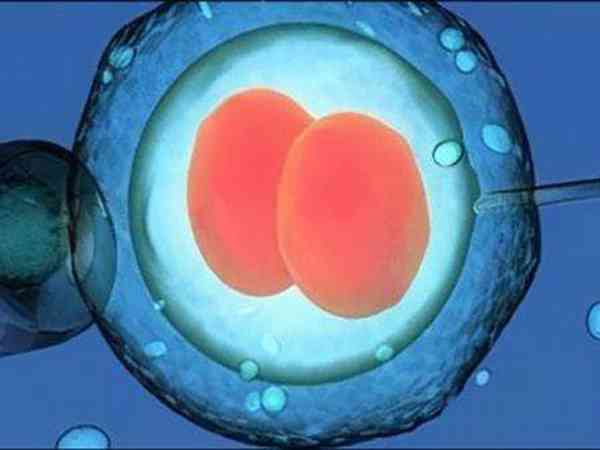 移植三代4bb嵌合囊胚可以吗？