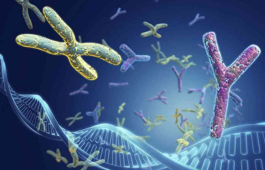 染色体异常可以做二代试管吗？