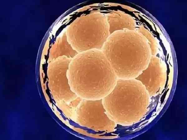 移植4AB囊胚有生男孩的吗？