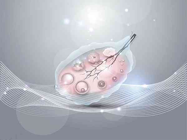 卵子质量不好影响胎儿健康吗？