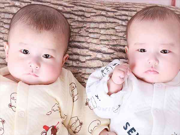 移植两个胚胎成双胞胎的多吗？