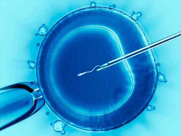 第一次移植胎停会影响第二次吗？
